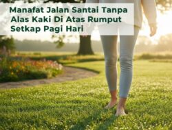 Manfaat Jalan Santai Tanpa Alas Kaki Di Atas Rumput Setiap Pagi Hari